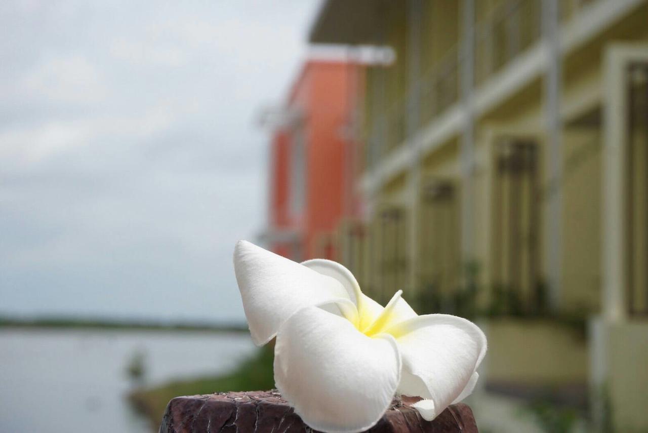 Baan Talay See Cream Resort Samut Songkhram Exteriér fotografie